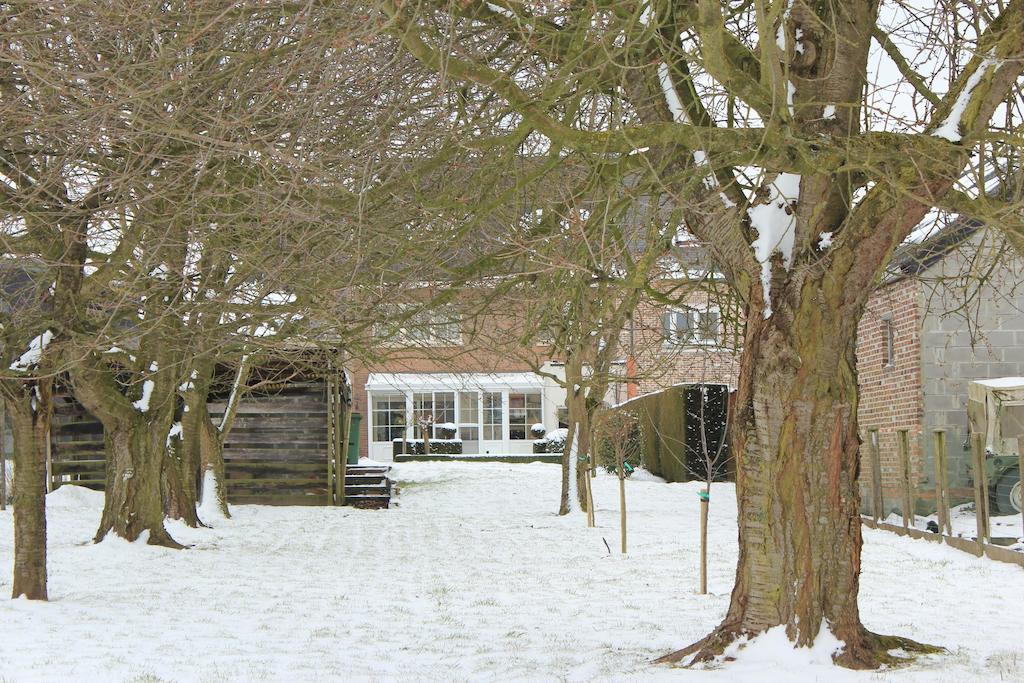 B&B Den Boomgaard Moorsel Dış mekan fotoğraf